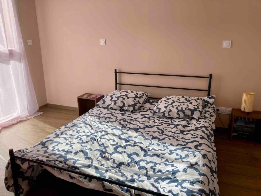 شقة Quai Sud - Gare, 100 M2, Parking, Wifi, Superette, Lave Linge أنجير المظهر الخارجي الصورة