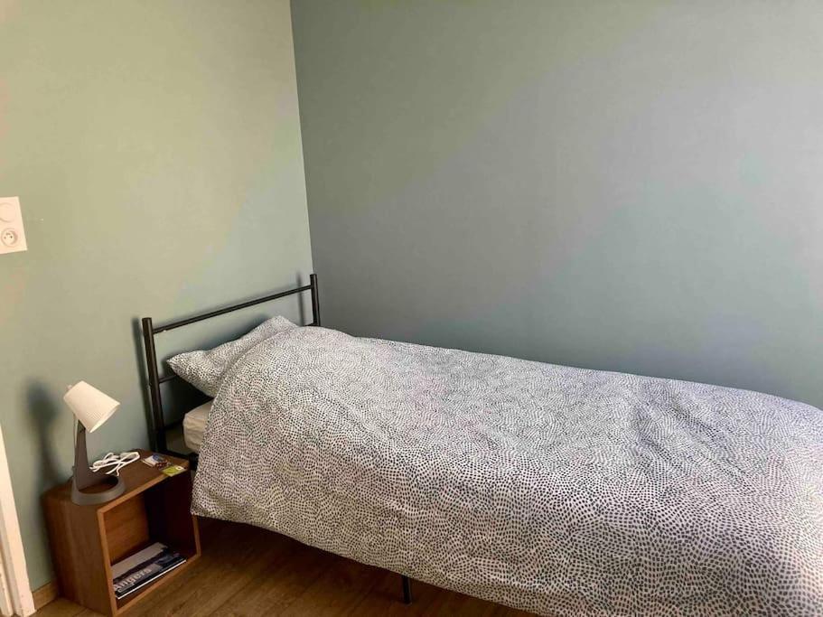 شقة Quai Sud - Gare, 100 M2, Parking, Wifi, Superette, Lave Linge أنجير المظهر الخارجي الصورة